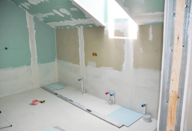 Best Attic Mold Removal  in Bonne Terre, MO