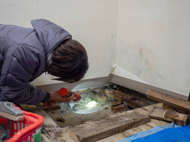 Best Mold Documentation for Insurance Claims  in Bonne Terre, MO
