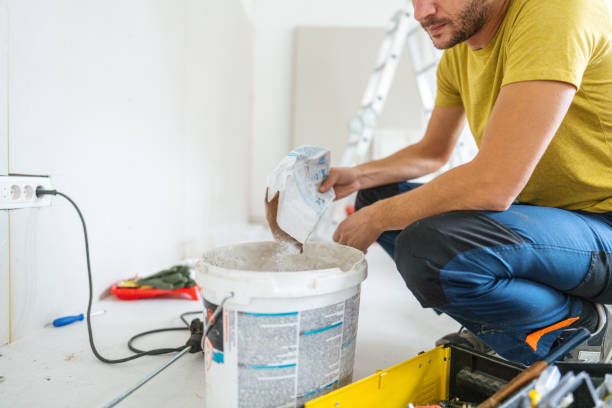 Bonne Terre, MO Mold Removal Company